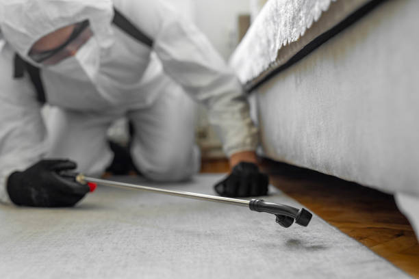 Professional Bed Bug Control technician working in St. Lucie County County, FL